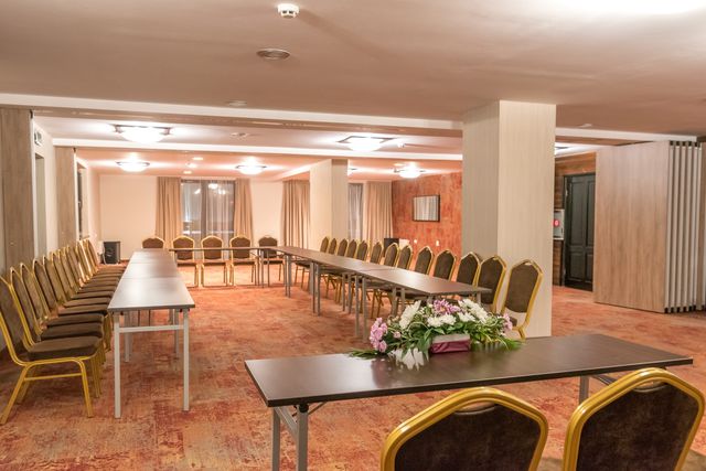 Lion Borovets Hotel - Business facilities